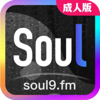 Soul成人版